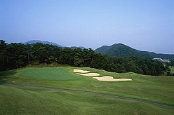 緑野